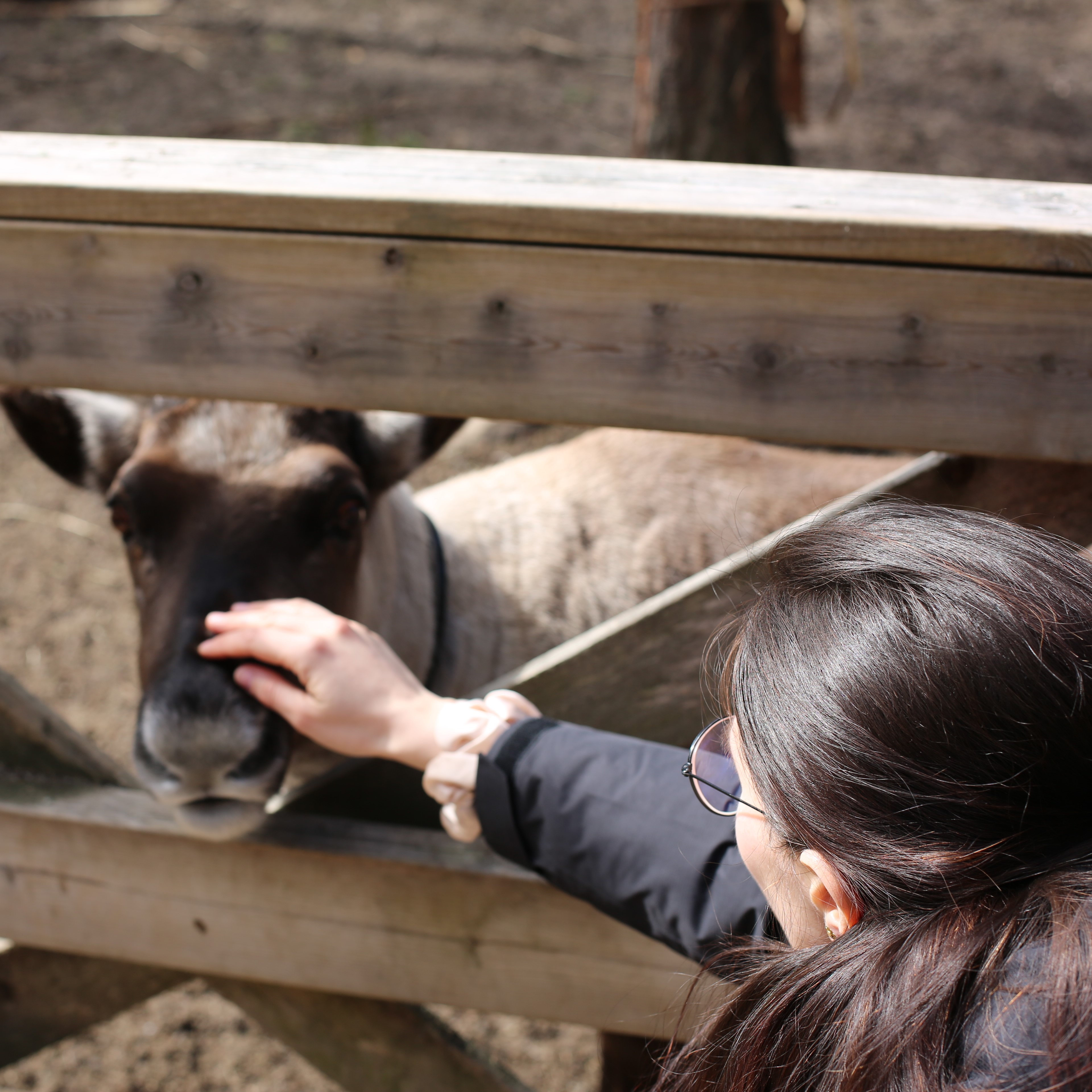 a delicious gelato cone with three scoops, made by me